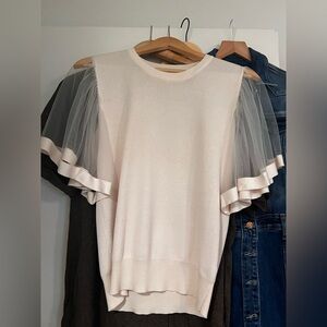 Sheer Ruffle Sleeve Top